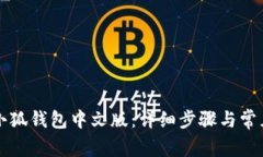 怎么下载小狐钱包中文版：详细步骤与常见问题