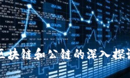 区块链和公链的深入探讨