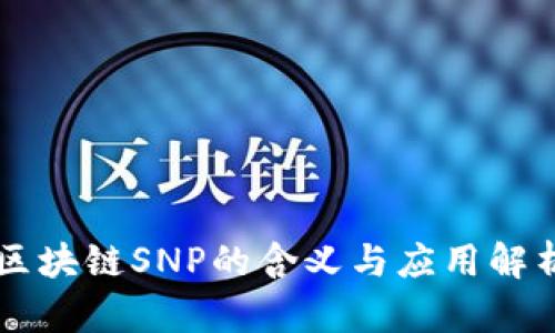 区块链SNP的含义与应用解析